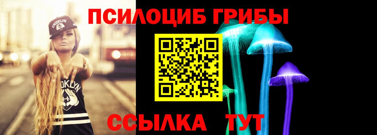 Якутск  Псилоцибиновые грибы GOLDEN TEACHER  Вход с VPN 